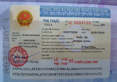 Visa fees Emergency Vietnam Visa