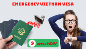 Emergency Vietnam Visa