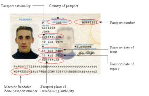 passport details to fill in Form Na1 Vietnam