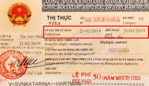 1 month visa Vietnam