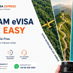 eVisa pending, Vietnam eVisa pending, Pending Vietnam eVisa, Expedite pending eVisa, Vietnam eVisa not approved, Vietnam eVisa still pending, Vietnam eVisa processing delay, Vietnam eVisa taking too long, Vietnam eVisa not approved yet, Urgent pending Vietnam eVisa