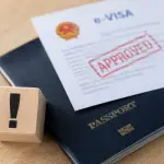 Fix Vietnam eVisa Errors