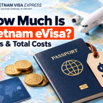 How Much Is Vietnam eVisa