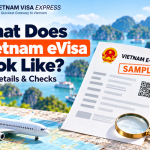 What Does Vietnam eVisa Look Like